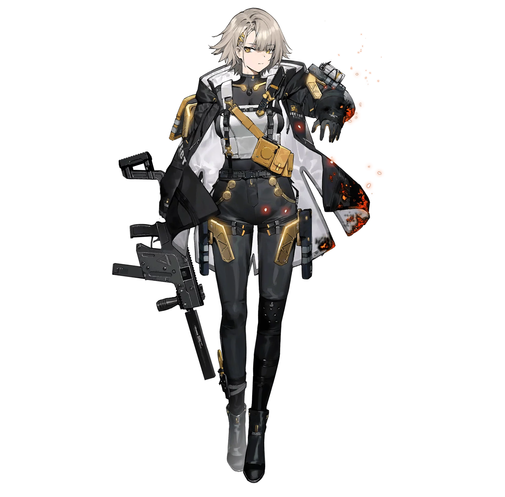 Vector